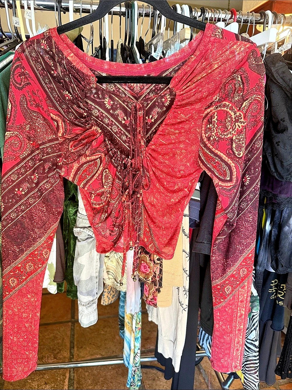 Free People As If Mesh Layering Long Sleeve Paisley Top in Red & Purple